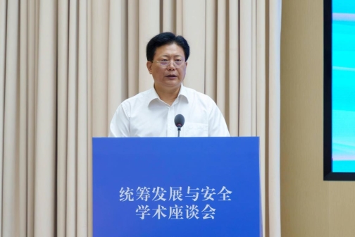 统筹发展与安全 (11)