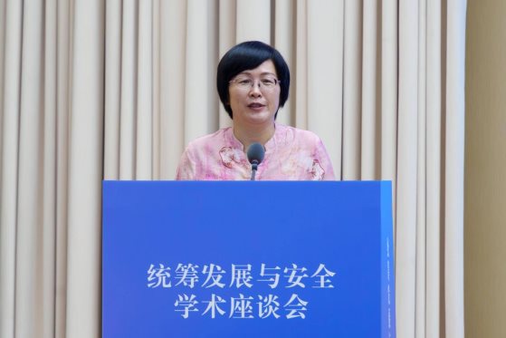 统筹发展与安全 (15)