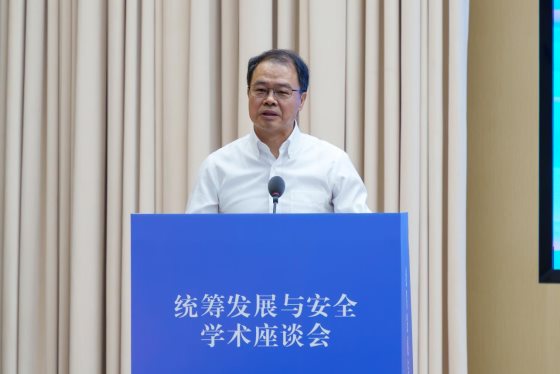 统筹发展与安全 (6)