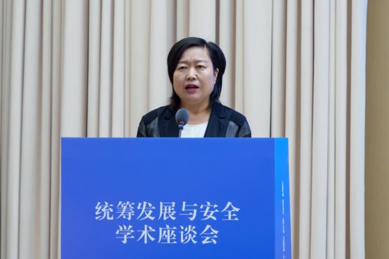 统筹发展与安全 (3)