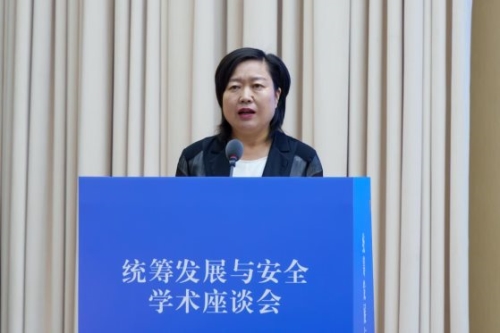 统筹发展与安全 (3)